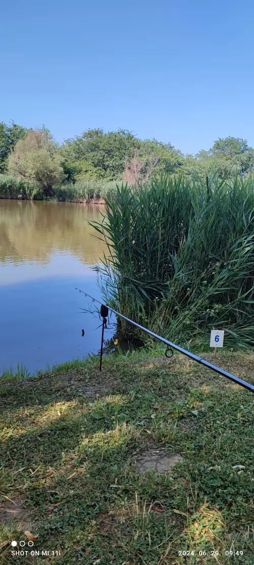 Baracsi Horgásztó - Galéria kép