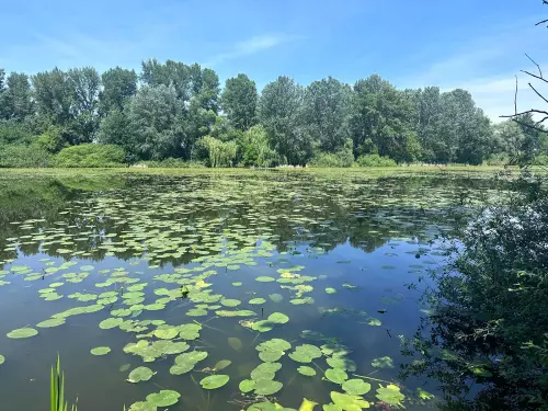 Berek holtág - Galéria kép