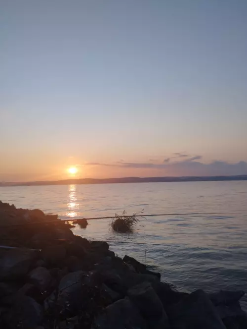 Horgászhely: Balatonföldvári partszakasz