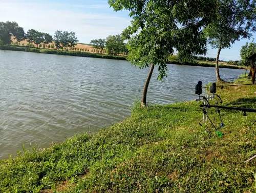 Mecsekpölöskei horgásztó - Galéria kép