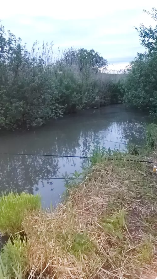 Magyarlukafai Horgásztó - Galéria kép