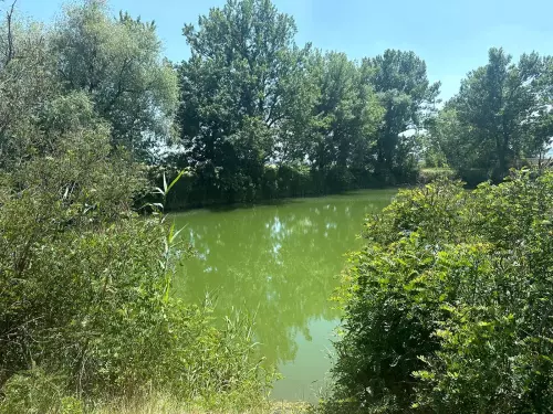 Sajószentpéteri halastó - Galéria kép