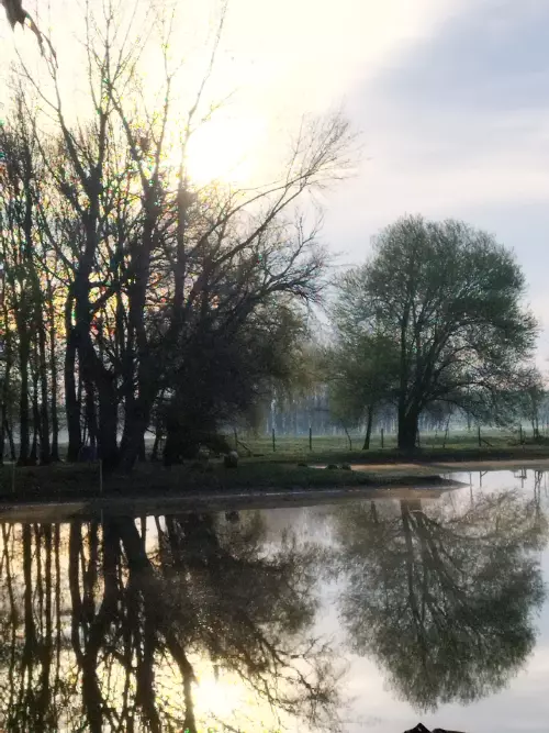 Osli Tópark - Galéria kép