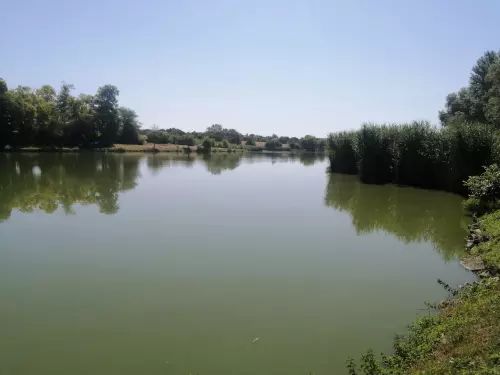 Tóvölgy horgásztó - Galéria kép