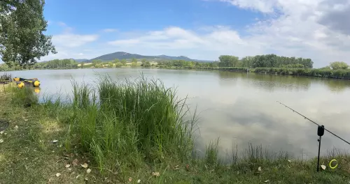 Horgászhely: Gyöngyöspatai horgásztó