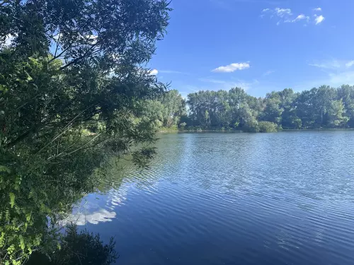 Pontyozás profi módon – stratégia, csalik, etetés lépésről lépésre