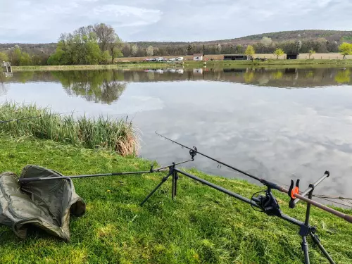 Horgászhely: Szarvas-tó