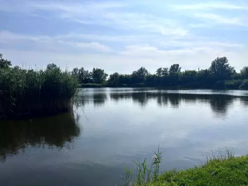 Homokos-tó - Galéria kép