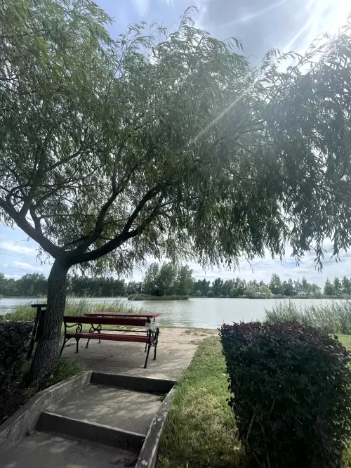 Tüskevár horgásztó - Galéria kép