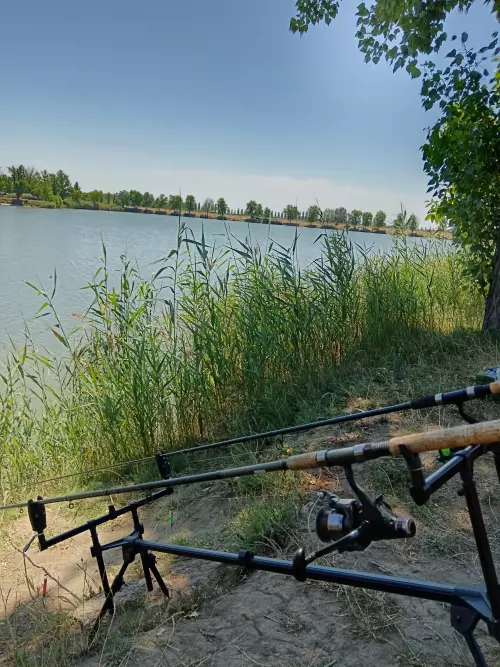 Munkácsy horgásztó - Galéria kép