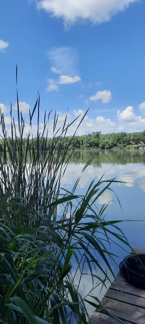 Dömsödi Árapasztó - Galéria kép