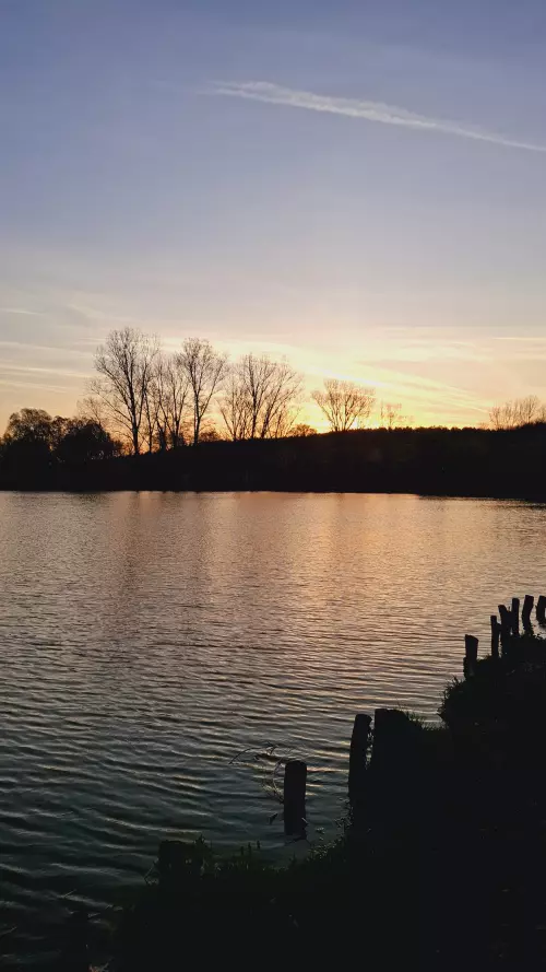 Horgászhely: Szászvári Horgásztó