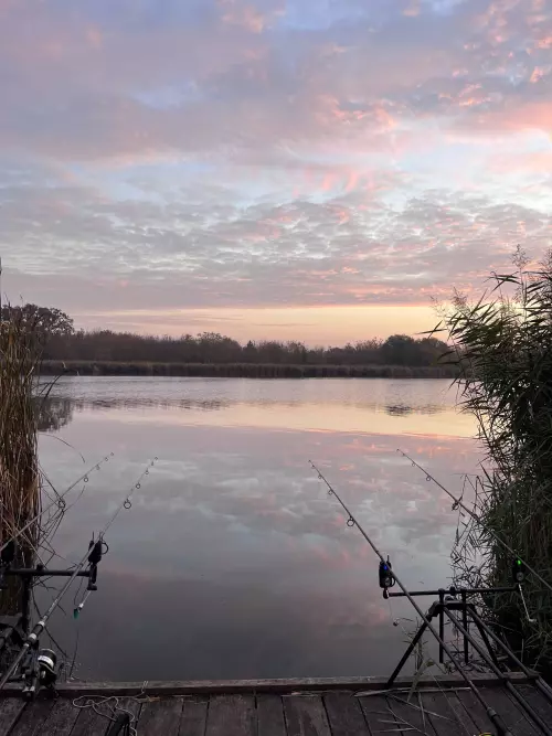 Battyán Carp Lake - Galéria kép
