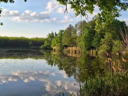 Háromfa horgásztó - Galéria kép