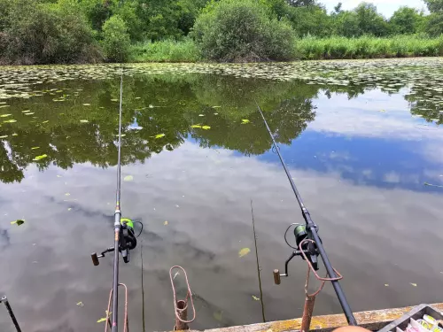 Holt-Marcal - Galéria kép