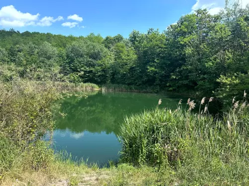 Ormosbányai bányató - Galéria kép