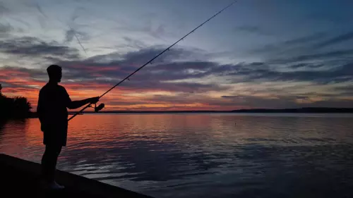 Balatonberényi partszakasz - Galéria kép