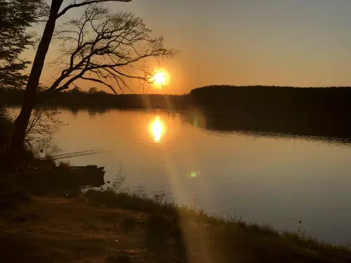 Horgászhely: Rinyaszentkirályi horgásztó