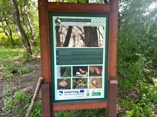 Berek holtág - Galéria kép