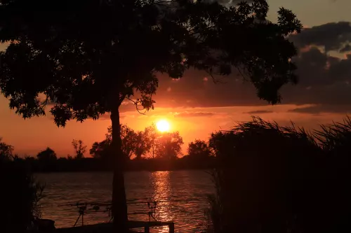 5-ös horgásztó - Galéria kép