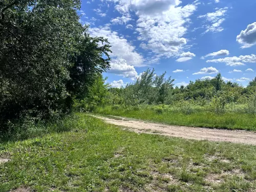 Tiszalúci Holt-Tisza - Galéria kép