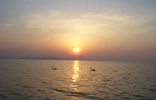 Balatongyöröki partszakasz - Galéria kép