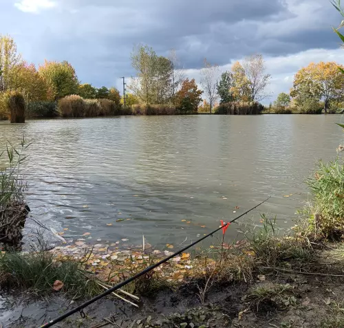 Kunság tava horgásztó - Galéria kép