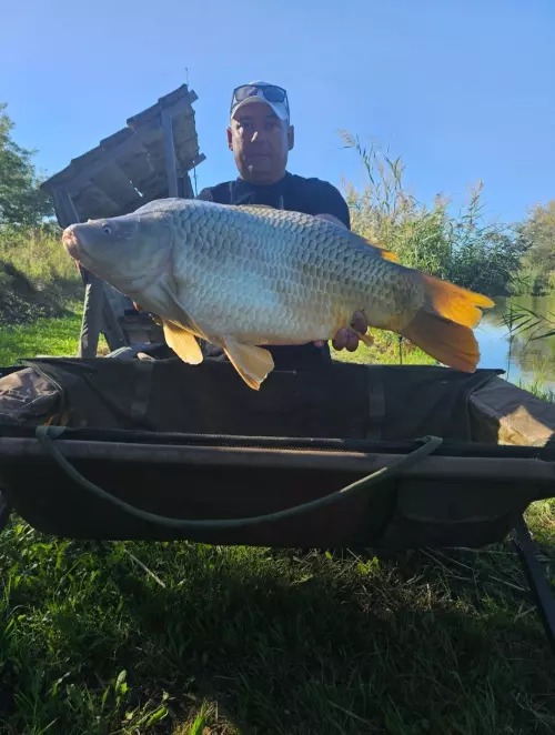 Ordas-tavak - Galéria kép