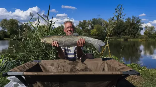 Benta tavak - Galéria kép