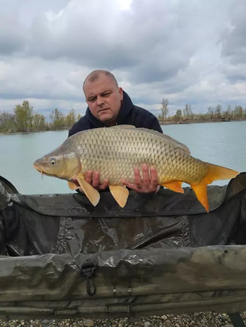 Majos Carp Lake - Galéria kép