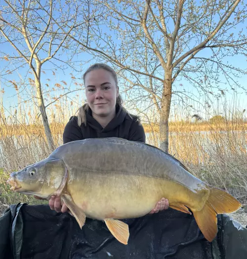 Gulya Carp Lake - Galéria kép