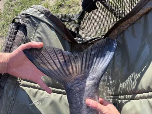 Pazonyi Horgásztanya - Galéria kép