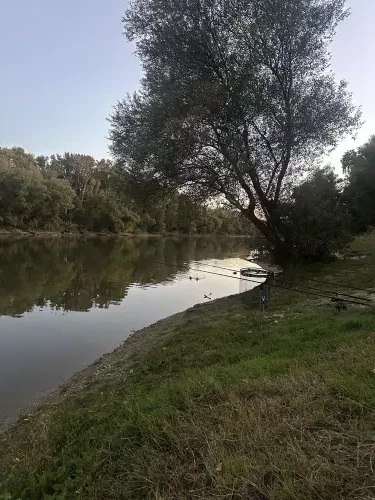 Hárosi-öböl - Galéria kép