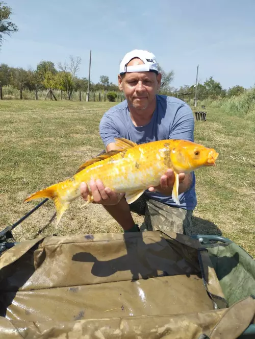 Baktói horgásztó - Galéria kép