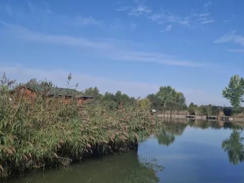 Borsosgyőri-tó - Galéria kép