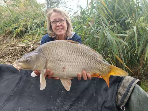 Őrbottyáni horgásztó - Galéria kép