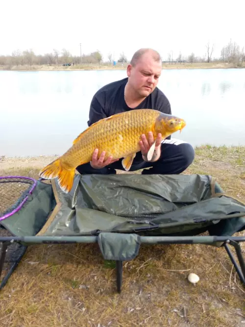 Majos Carp Lake - Galéria kép