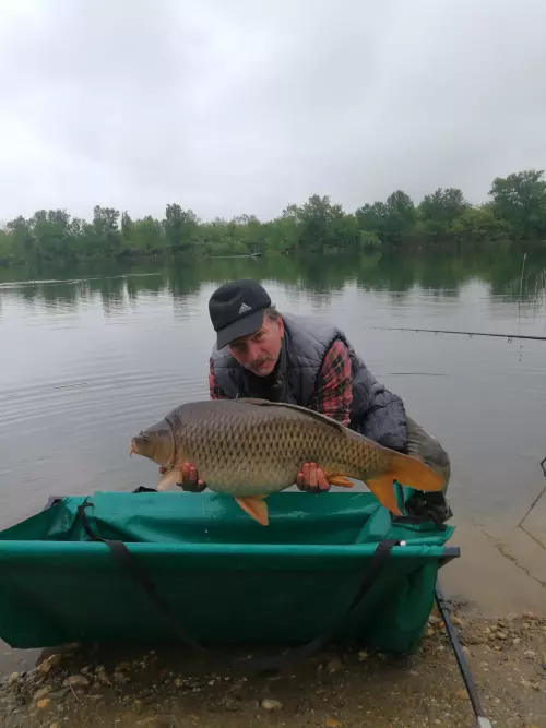 Bari Carp Lake - Galéria kép