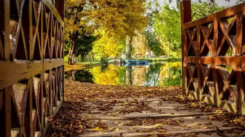 Felsőtárkányi-tó - Galéria kép