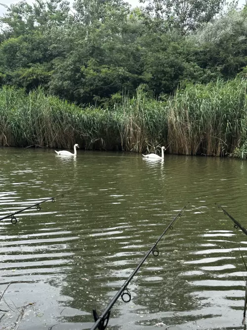 Duna–Tisza-csatorna - Galéria kép