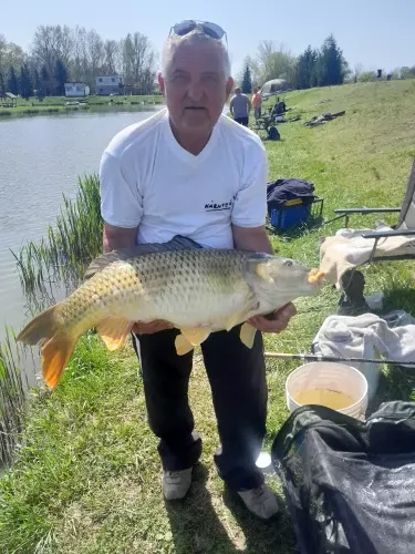 Ordas-tavak - Galéria kép