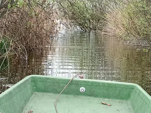 Viktória-tavak - Galéria kép