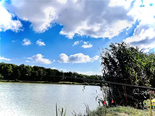 Szőkei 3-as horgásztó - Galéria kép