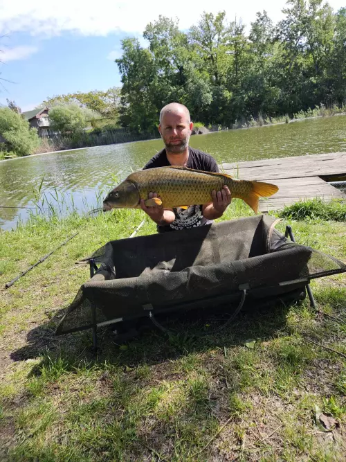 Csendespart Horgásztó - Galéria kép