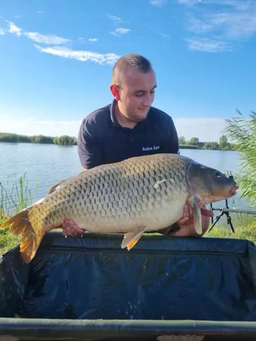 Reed Carp Lake - Galéria kép