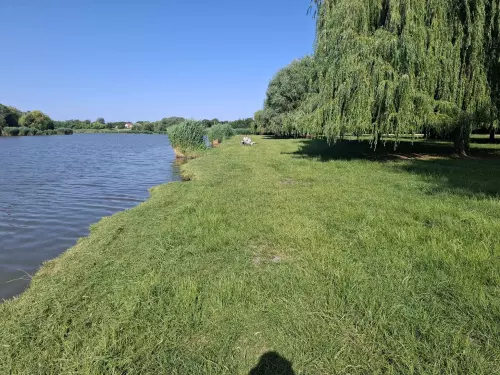 Tiszakécskei holtág - Galéria kép