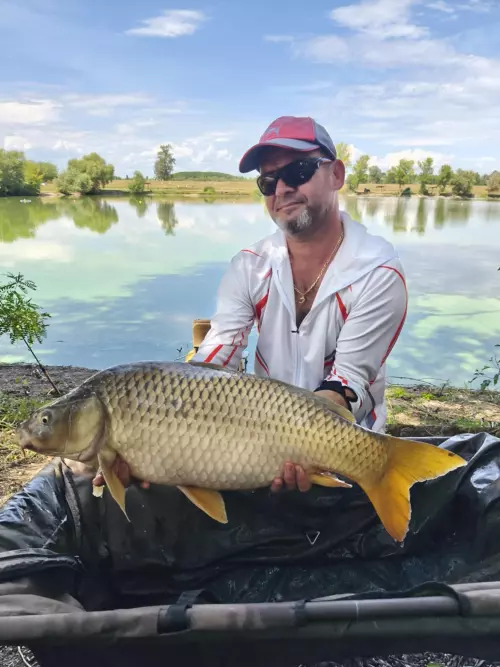 Családi Horgásztó (Nagycsécs Belsőségi tó) - Galéria kép