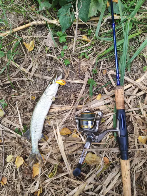 Hansági Főcsatorna - Galéria kép