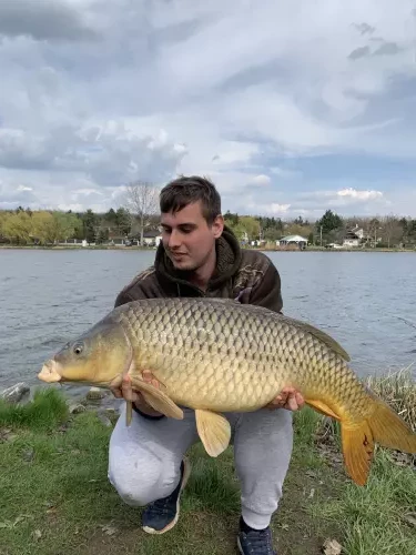 Őrbottyáni horgásztó - Galéria kép