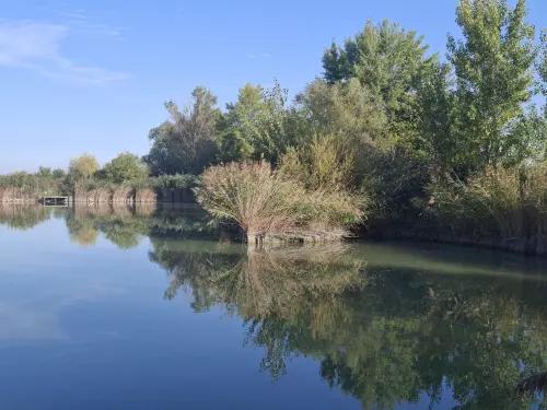Borsosgyőri-tó - Galéria kép